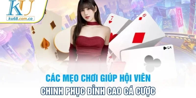 Các mẹo chơi giúp hội viên chinh phục đỉnh cao cá cược